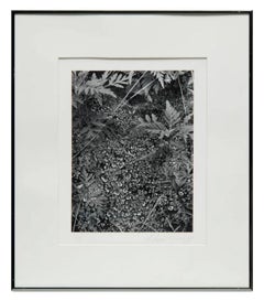 Silber-Gelatine-Vintage-Druck des amerikanischen Fotografen Andreas Feininger