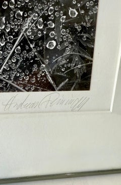 Silber-Gelatine-Vintage-Druck des amerikanischen Fotografen Andreas Feininger