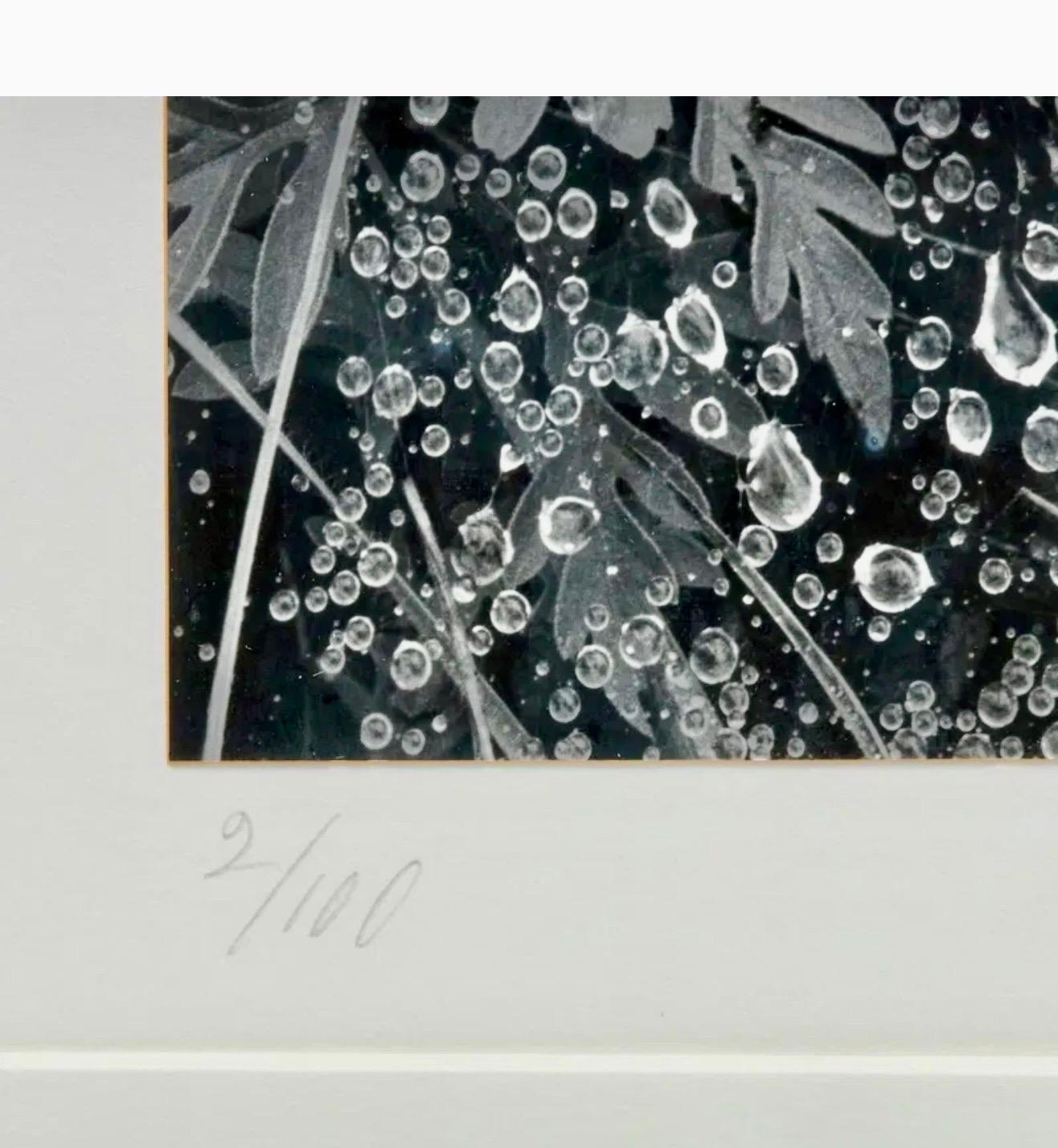 Le photographe américain Andreas Feininger Tirage gélatino-argentique vintage en vente 3