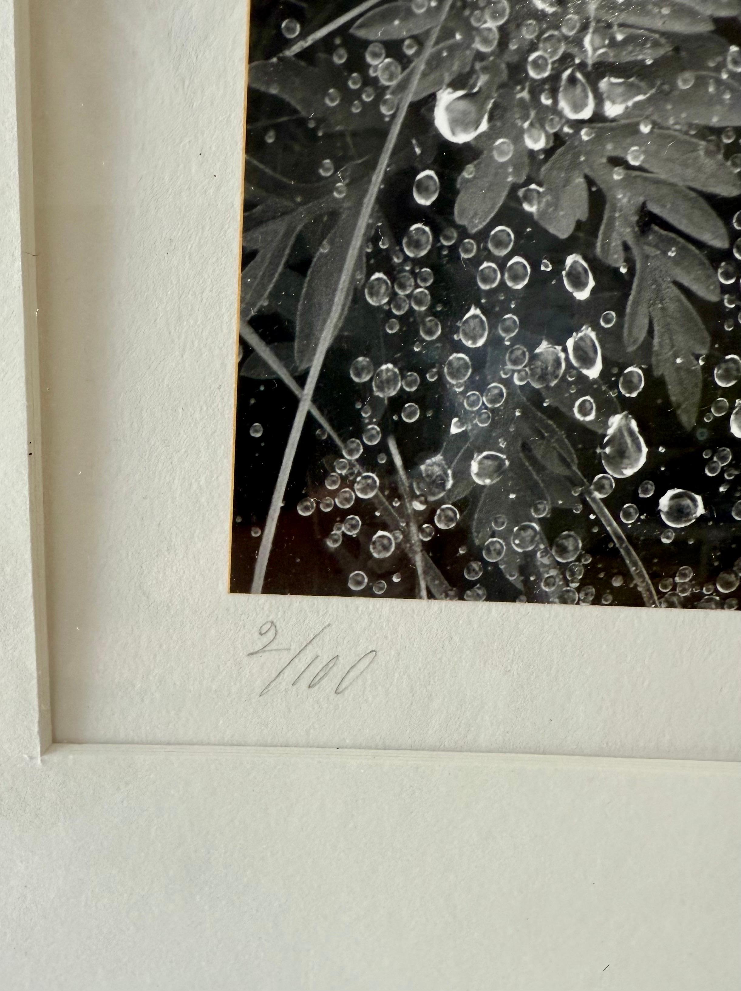 Le photographe américain Andreas Feininger Tirage gélatino-argentique vintage en vente 4