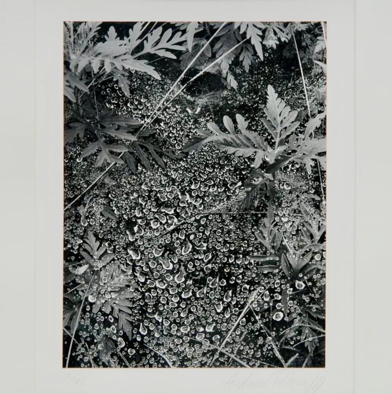 Le photographe américain Andreas Feininger Tirage gélatino-argentique vintage en vente 8