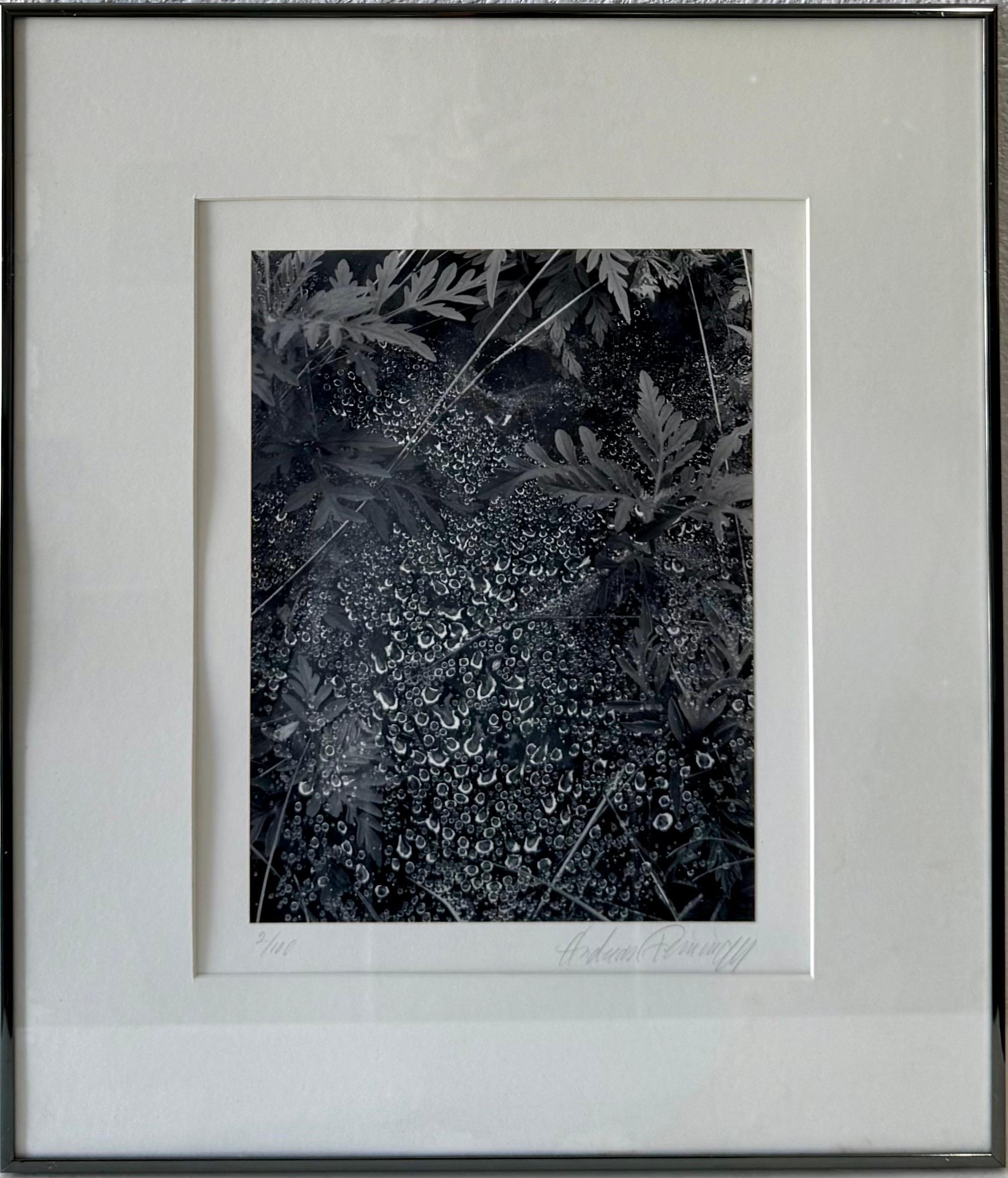 Le photographe américain Andreas Feininger Tirage gélatino-argentique vintage en vente 9