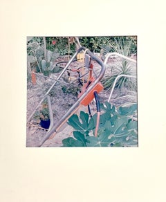 William Larson Vintage Conceptual Abstract Photograph Dye Transfer Color Photo