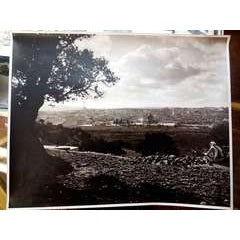 Vintage Large Albumen Photo Jerusalem Temple Mount Panorama 11