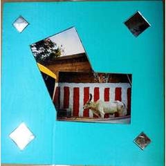 Chindambaram Temple, Mixed Media Photo Collage 3
