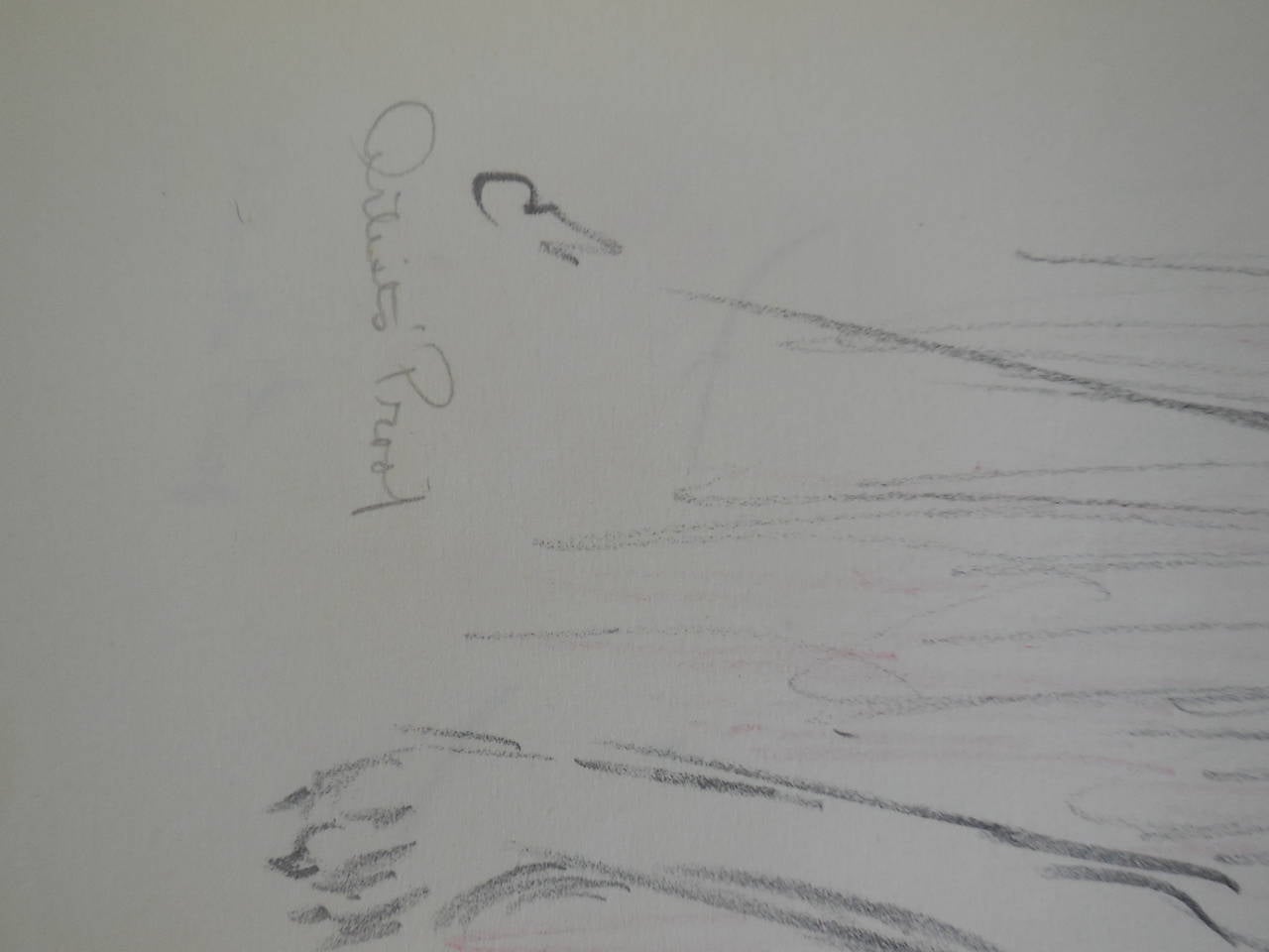 Dancing Circus Dogs in Tuxedo and Top Hat