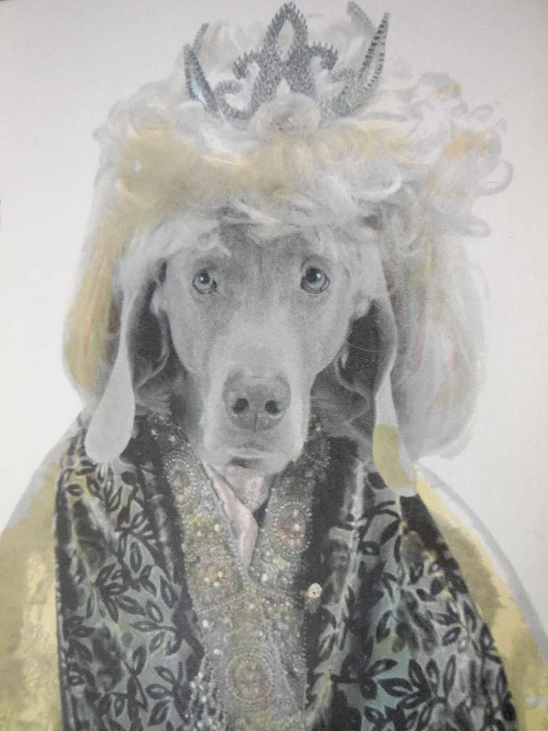 Photo Lithograph Royal Flush Queen Dog 2