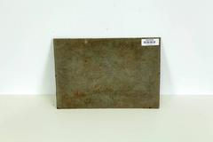 Pastoral Landscape Palestine/Israel Camels and Shepherds