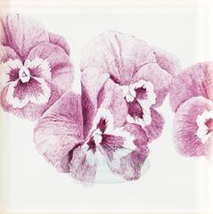 THE NAME OF THE FLOWER: PANSY “JOKER VIOLA-GOLD”