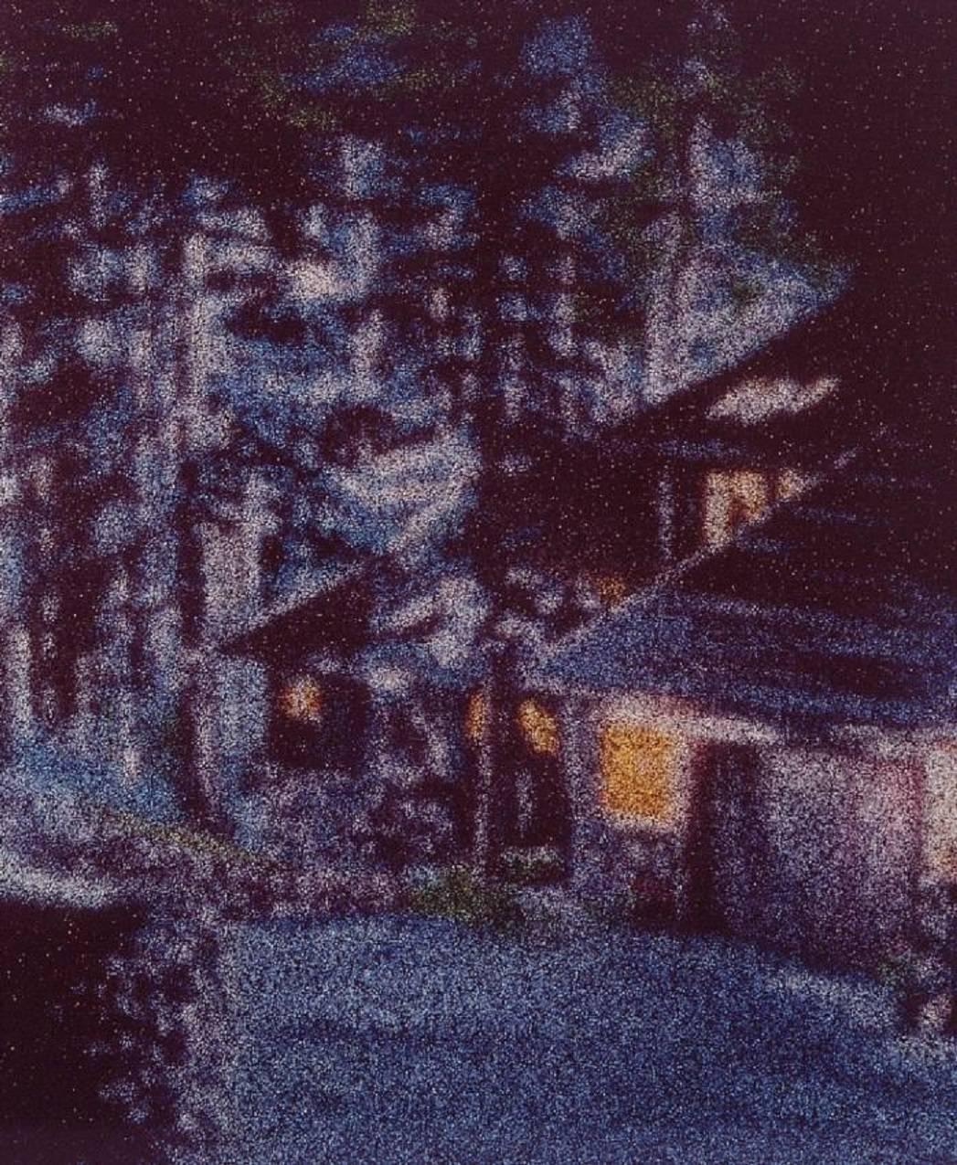 Front Entry, (Forest), Large Scale Cibachrome - Photograph by Ellen Brooks