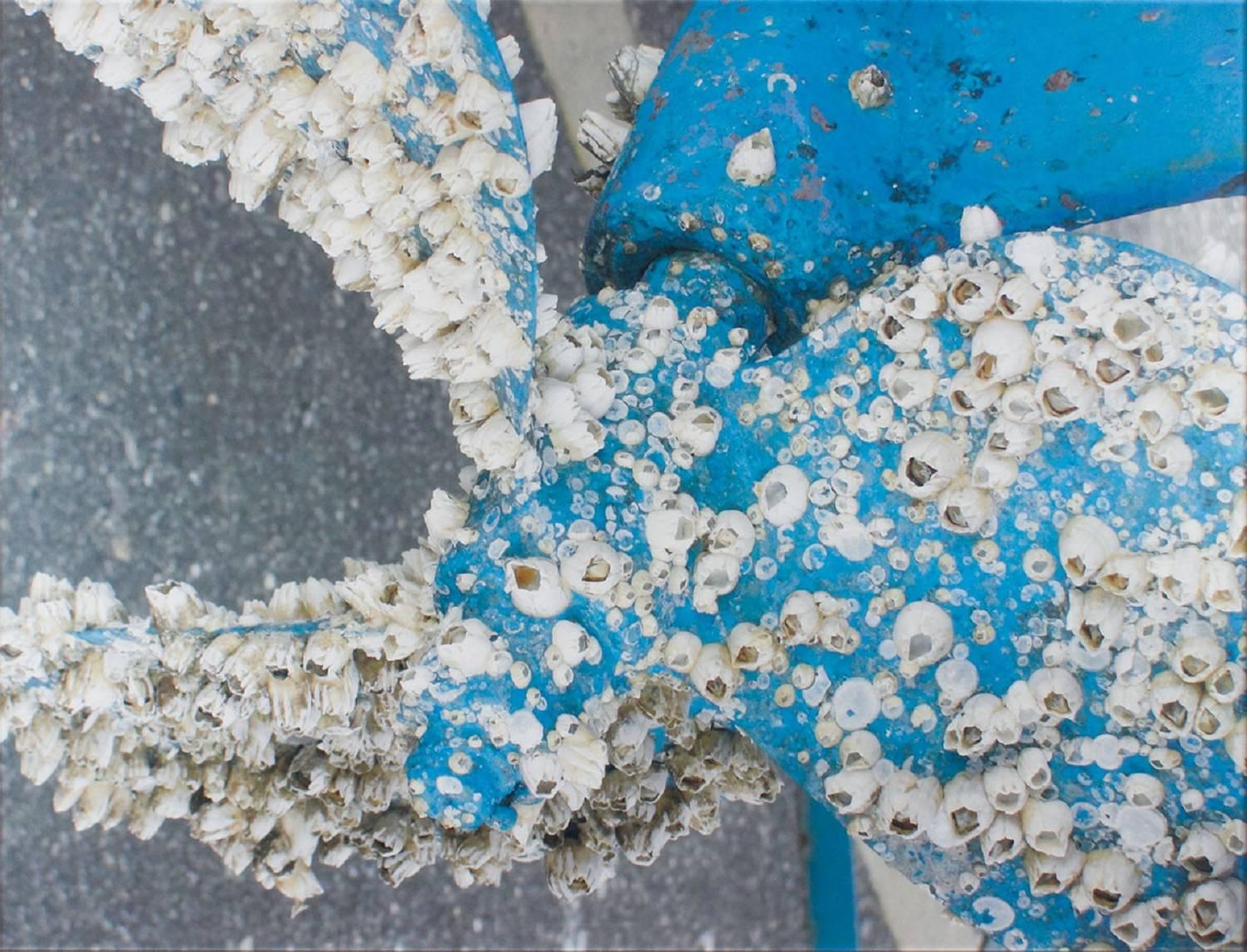 Boat Propeller Barnacles, Large Scale Photograph - Blue Color Photograph by Unknown