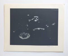Sérigraphie noire abstraite de paysage Lunar signée et numérotée