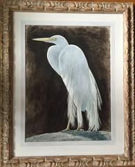 Heron Bird