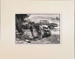 Camel and Cadillac, Black & White Original Silver Gelatin Vintage Photograph