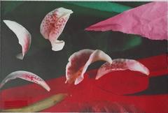 Celebration Series - Untitled