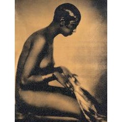 Josephine Baker - Hollywood Gold, 2017 3