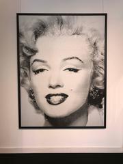 Marilyn Superstar - Crash Silver, 2017