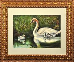 Swan-Familie