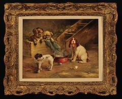 "Demasiado caliente para manejarlo" - Cachorros cerca de una olla humeante