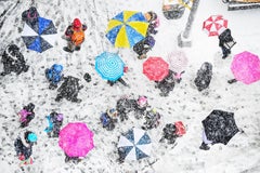 Pink Umbrellas in the Snow, New York City,  Fine Art Photography