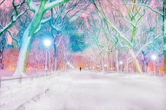 Central Park in the Snow 