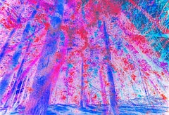 Psychedelic Forrest