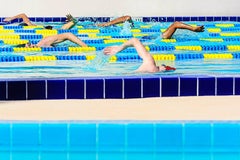 Pool- Swimmers in Flamingo Park, Flamingo  Miami Beach -