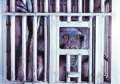 Vintage Chimp Behind Bars. Life Magazine