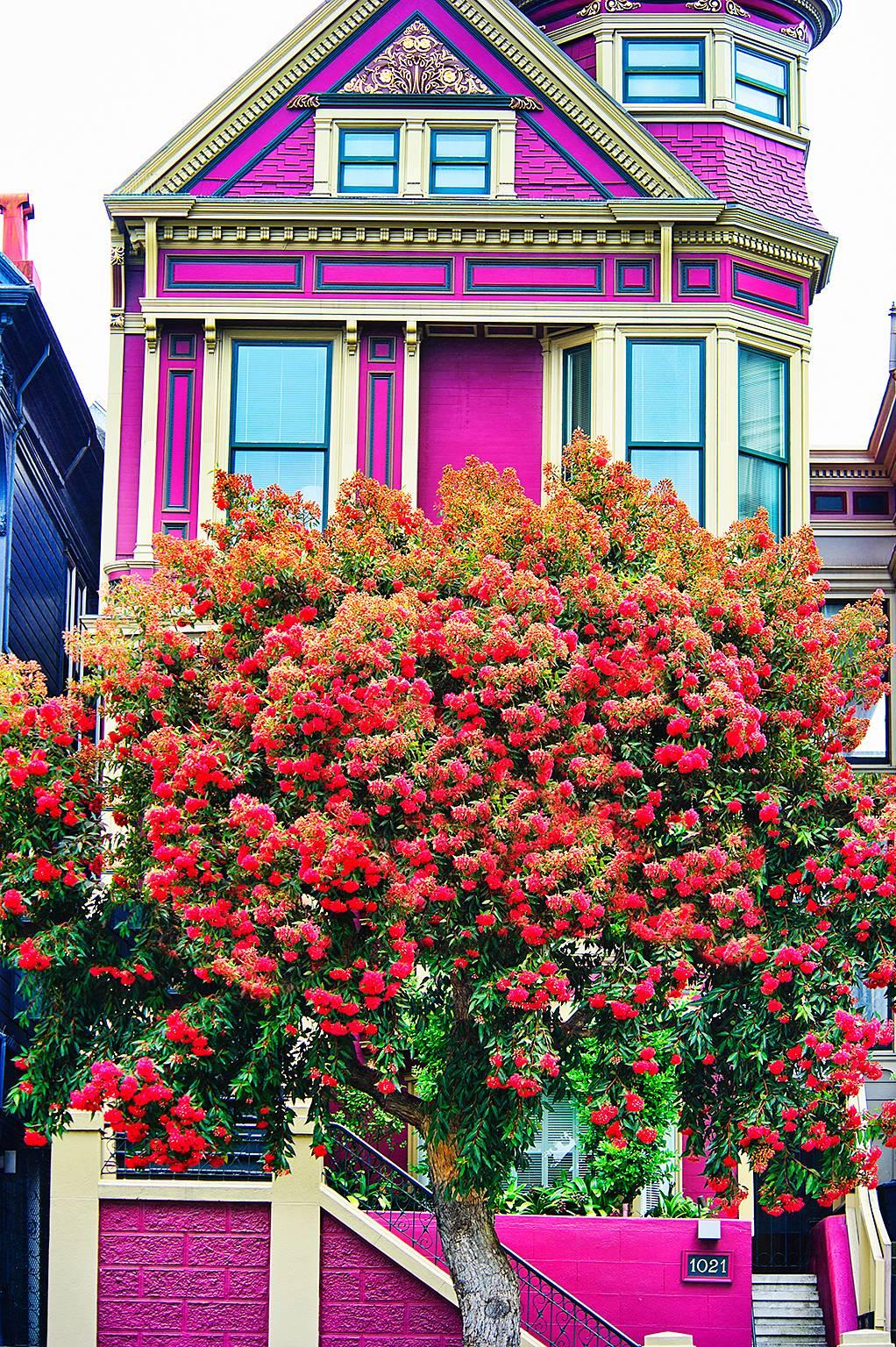 Color Photograph Mitchell Funk - San Francisco Victorian Purple