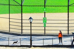 Manhattaner Baseballfeld mit Hund