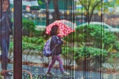 Figure in the rain