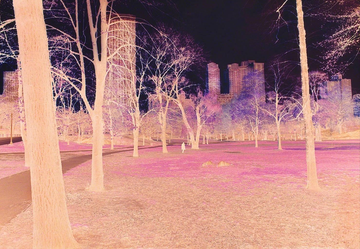 Central Park in Negative Color