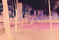 Central Park in Negative Color