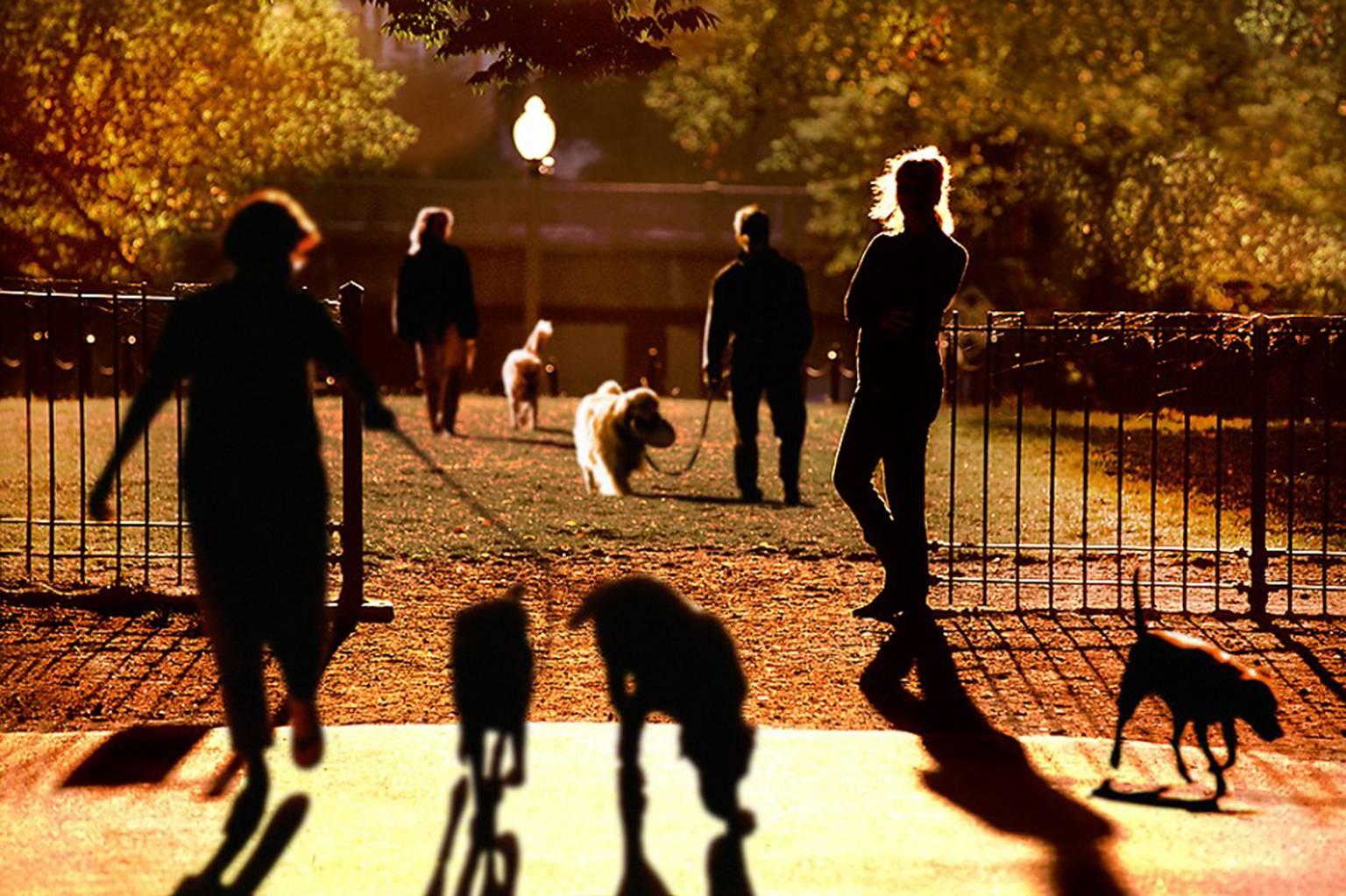 Color Photograph di Mitchell Funk - Passeggiatori di cani di Central Park