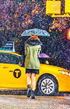New York: Beautiful Rain 