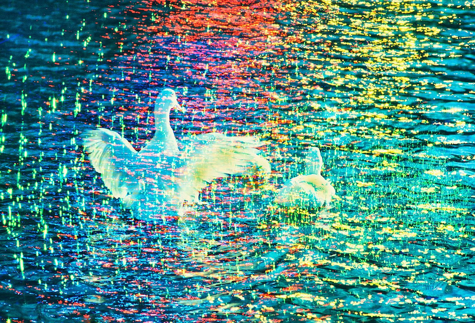 White Ducks in Prism of Color is an early work where a creative color effect  is used to express the  evocative nature of a picturesque nature scene
Signed and dated on lower right, numbered on verso 2/15, Printed Later, Unframed other sizes