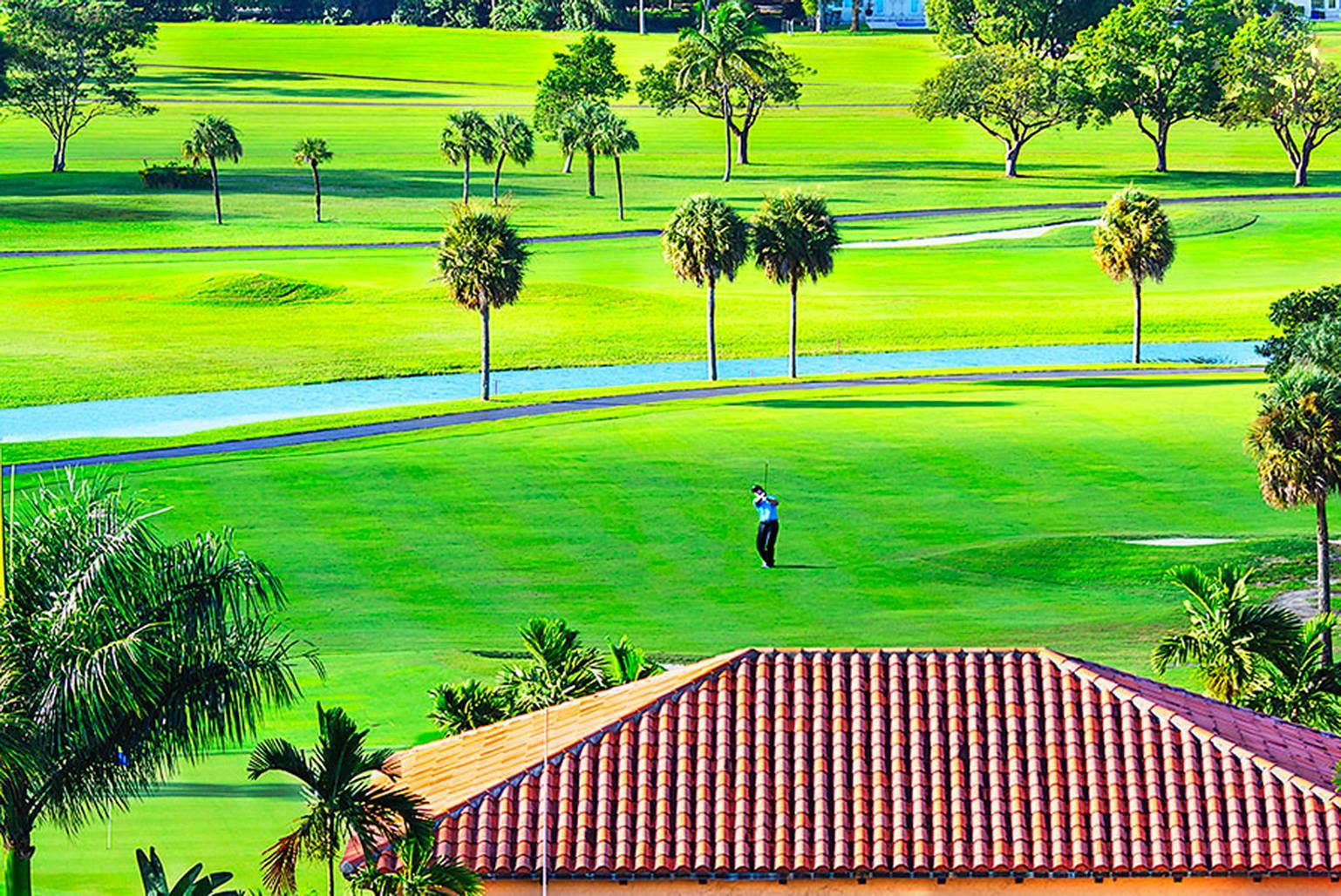 Mitchell Funk Landscape Photograph - Golf  Course Green 