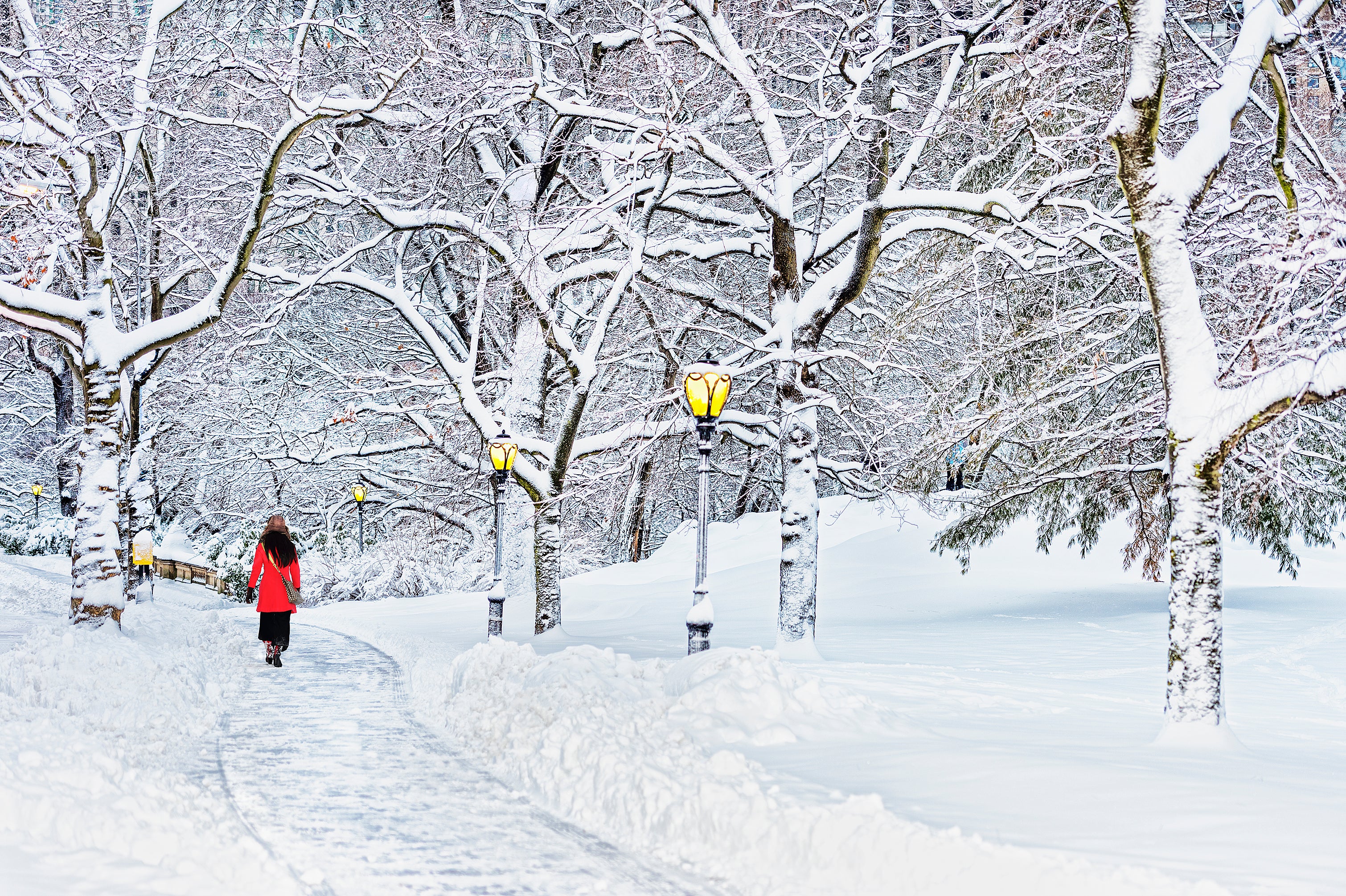 Central Park Snowstorm, Winter Fantasyland, Fine Art Print Hahnemuhle Paper