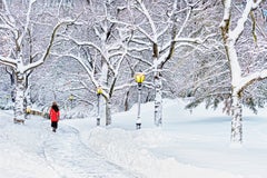 Central Park Snowstorm, Winter Fantasyland, Fine Art Print Hahnemuhle Paper