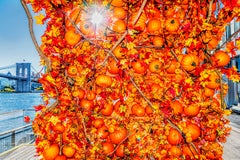 Pumpkin Wall With Brooklyn Bridge, Color Photography, Signed 3/15