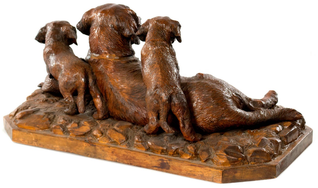 Sculpté et signé par le célèbre sculpteur de la Forêt-Noire J. Baud, qui travaillait à Meiringen, en Suisse, et était connu pour ses sculptures naturalistes d'animaux en bois de tilleul. Cette sculpture d'une mère Grand Bouvier Suisse au repos avec