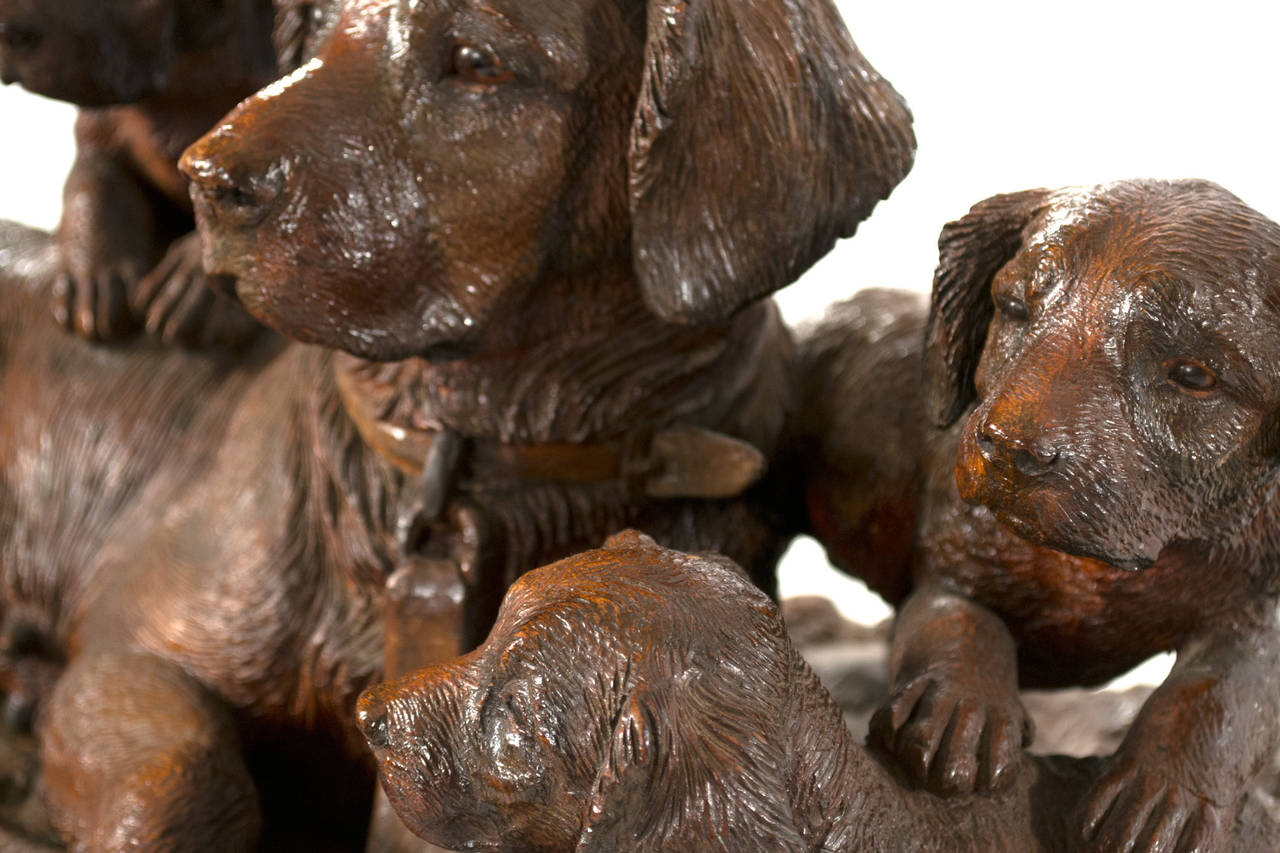 Exceptionnel groupe sculpté de chiens de la Forêt-Noire 1
