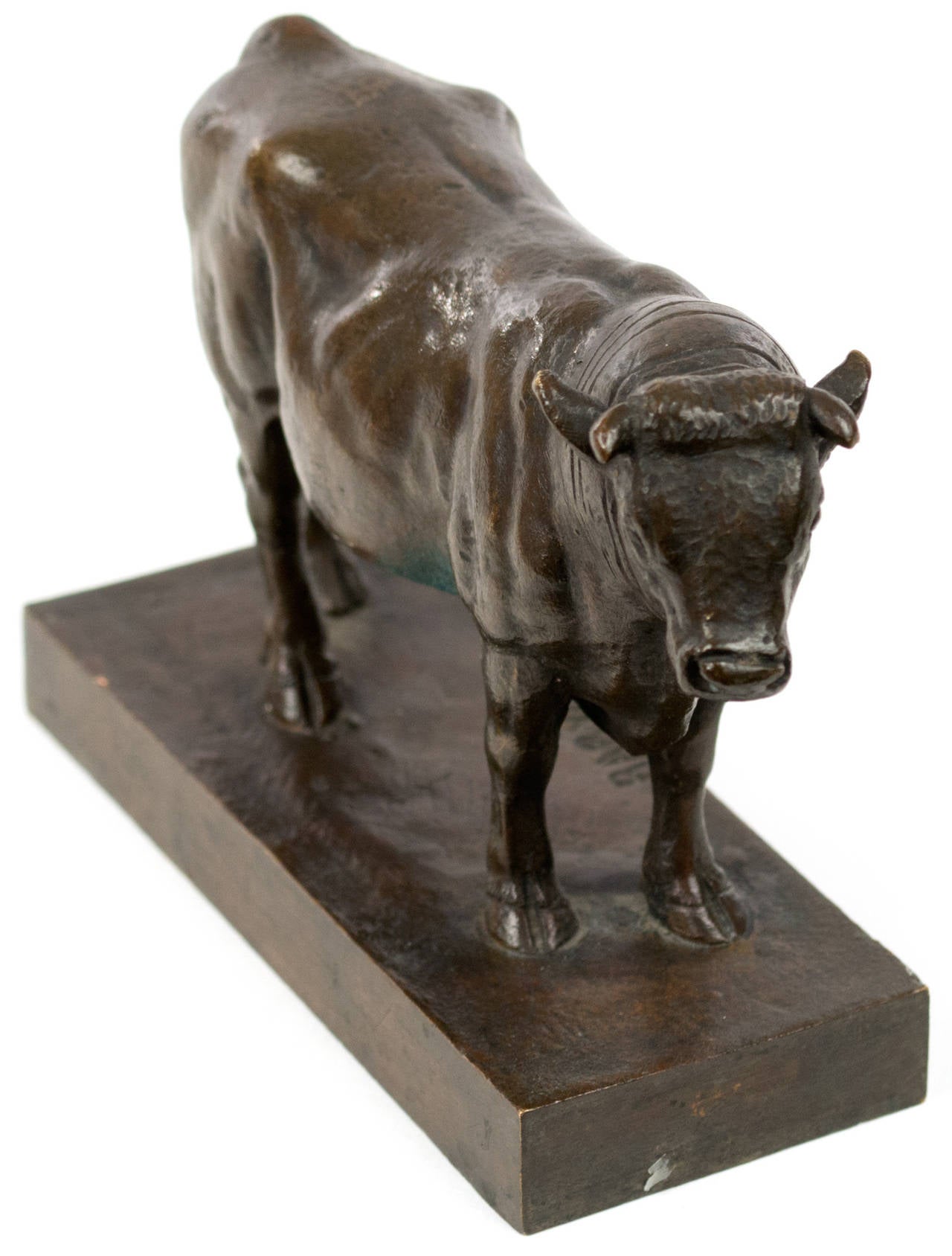 Taureau en vente 2