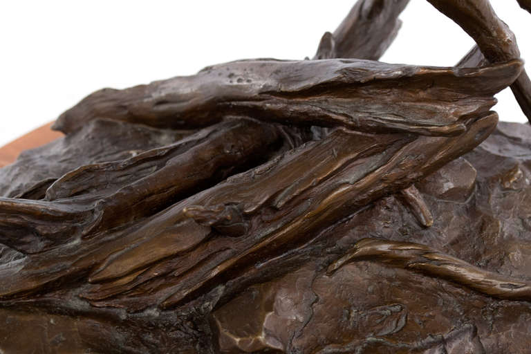 Clark Bronson (b. 1939) is the son of a game warden who has become of the most celebrated sculptors of wildlife in America. His sculptures and paintings of fish and game have been used extensively in a number of magazines, including Sport Afield and