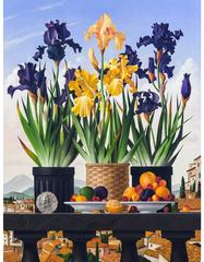 Three Pots of Iris