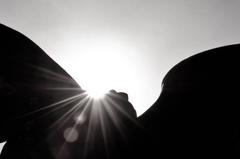 Guardian Angel von Zack Whitford