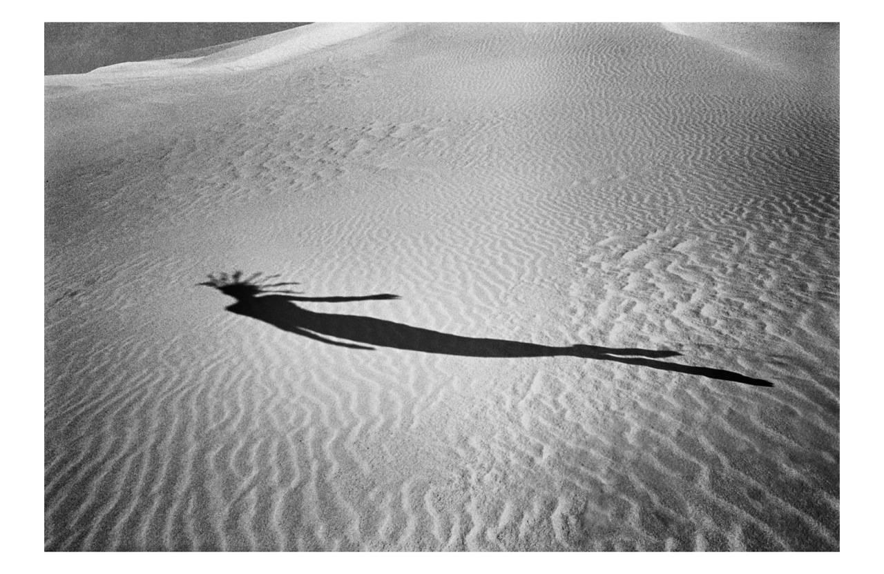 Hugh Arnold Black and White Photograph – Moondance One
