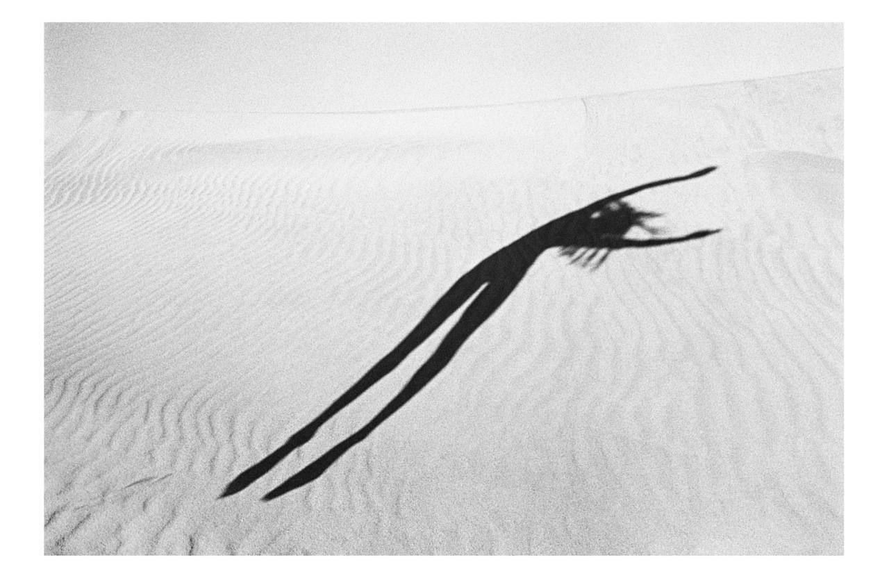 Hugh Arnold Black and White Photograph - Shadowdance