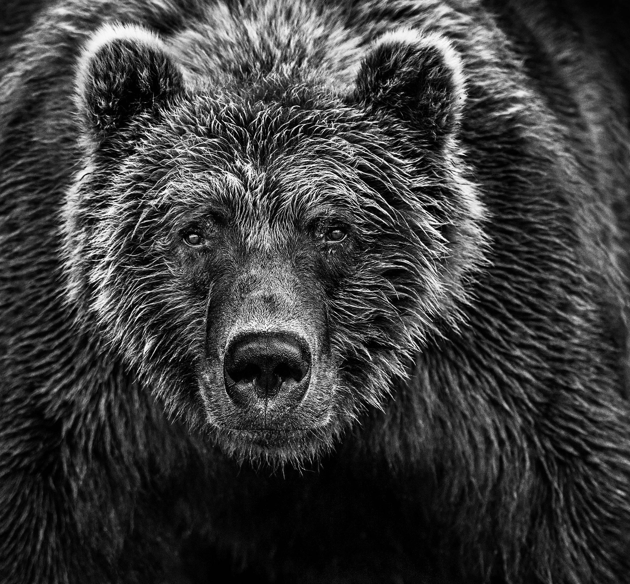 David Yarrow Black and White Photograph - Face Off
