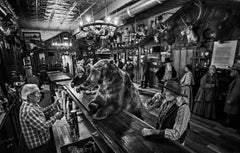 ~Last One~A Bear Walks Into A Bar - Contemporary Wildlife Photography